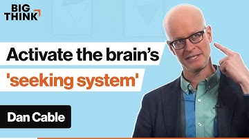 How to activate the ‘seeking system’ of your brain | Dan Cable | Big Think