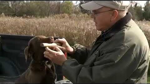 TRAINING TO RETRIEVE
