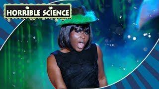 Horrible Science - Science Music Coming Together Science For Kids