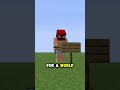 Time Capsule! #minecraft #viral