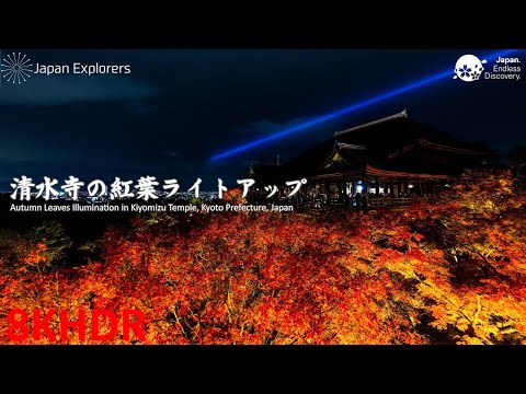 清水寺 紅葉ライトアップ 夜間特別拝観 8KHDR