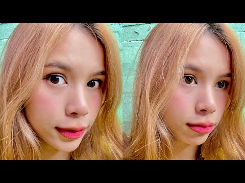 Burmese : Cute