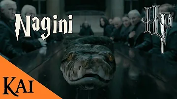 ¿Es Nagini la misma que la serpiente de Voldemort?