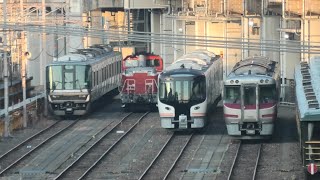 《JR西日本》いたいたHC85系 D202編成！網干総合車両所宮原支所（R5.2.4）