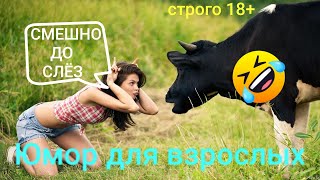 видео: Смешные😂Smile😂Подборка весёлых видео😂Prank😂Я ржал до слёз 😂10 мин юмора😂Лучшие #приколы 😂 картинка: Смешные😂Smile😂Подборка весёлых видео😂Prank😂Я ржал до слёз 😂10 мин юмора😂Лучшие #приколы 😂