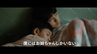 映画『シスター　夏のわかれ道』予告編