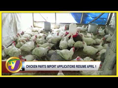 Chicken Parts Import Applications Resume April 1 | TVJ Business Day - Mar 28 2022