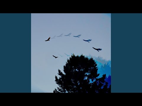 Wings auf YouTube ansehen Wings auf YouTube ansehen