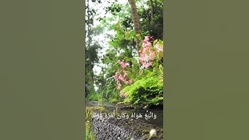 لا تنسوا قراءة الكهف وأكثروا من الصلاة على النبي #سورة_الكهف #اسلام_صبحي
