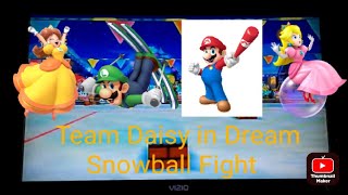 Mario And Sonic At The Olympic Winter Games Dream Snowball Fight Team Daisy
