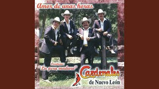 Video thumbnail of "Cardenales de Nuevo León - Cariño"