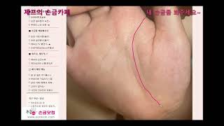 [내 손금좀 봐주세요] 생명선이 불안정한 꼬마아이 손금