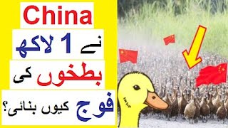 Why China Created an Army of 1 Lakh Ducks ? - Reality Tv