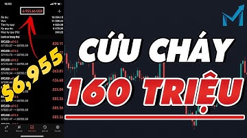 mForex Thực Chiến #20 | Chủ Tịch Lại Đi Cứu Cháy "160 TRIỆU" Và Cái Kết!