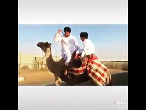 العملاق سلطان الوهيبي