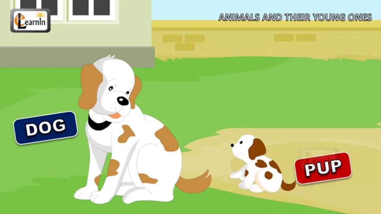 animals and their young clipart - photo #16