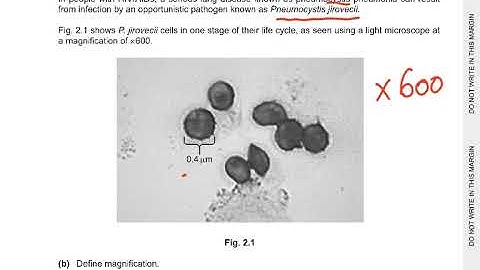 9700/NOV24 /22 Q1 Q2 Q3 EXPLAINED