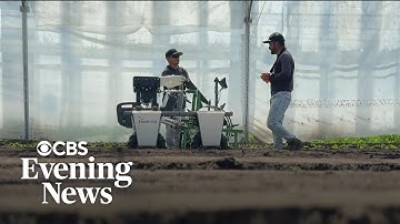 Farmers look to robots for field work as immigration raids upend labor