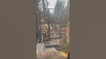 #mood #automobile #log #logging #logger #ponsse #operator