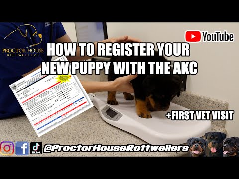Video: Kuidas registreerida koer UKC-ga