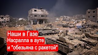 Наши в Газе, Насралла в ауте и "обезьяна с ракетой"