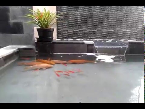  Taman  kolam ikan minimalis  batu alam YouTube