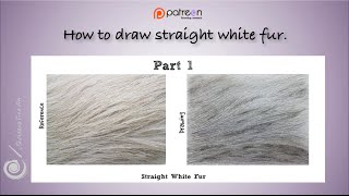 Tutorial  #24 Part 1 - How to draw straight white fur - Channel Sheldene Fine Art