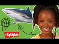 Highlights kids  animals  full episode  kidss  fun with a purpose