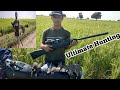 Air gun hunting dove pigeon waterhen gamo air rifle hunting season 2023 24mz birds hunting