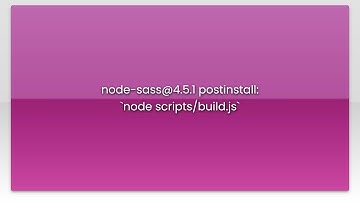 node-sass@4.5.1 postinstall: `node scripts/build.js`