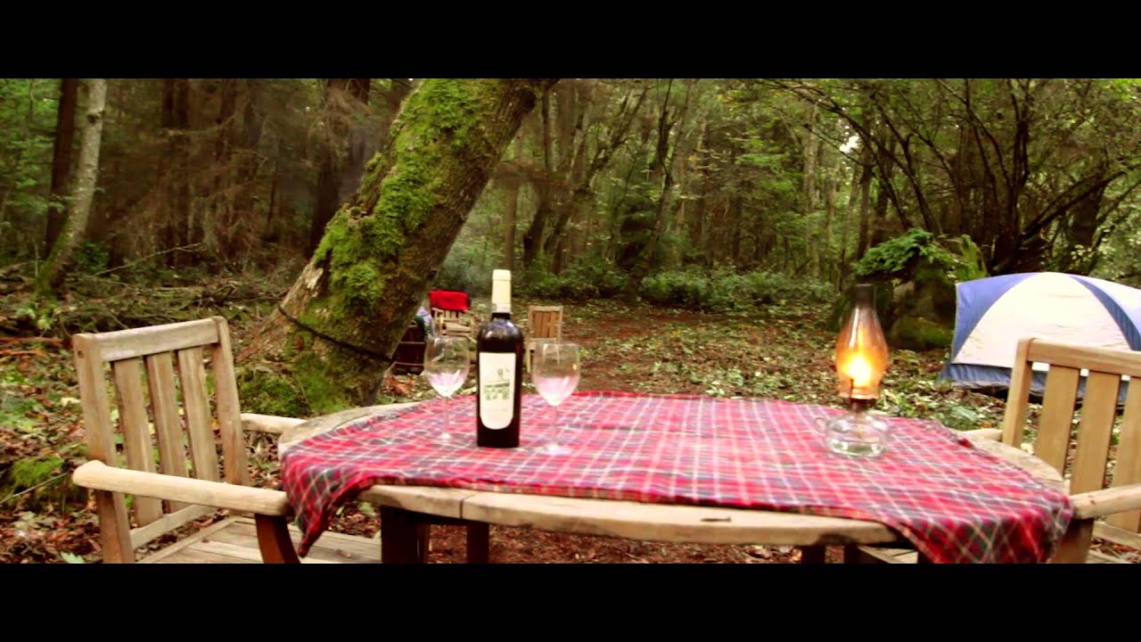 Vashon Island Land for Sale 1020 acres Enjoy now build later YouTube