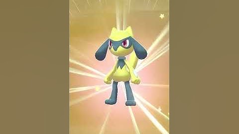 SHINY RIOLU!!! Pokémon sword and shield