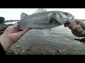 Sea bass fishing with metal jigs