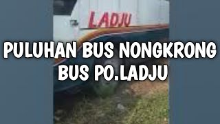 🔴 REVIEW BUS PO LADJU YANG NONGKRONG LAMA ‼️ ADA PULUHAN UNIT BUS AC DAN NON AC 🔻 SUGIRI CIREBON