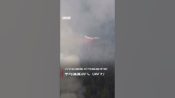 加拿大阿爾伯塔省野火蔓延 逾萬人疏散－ BBC News 中文 #shorts
