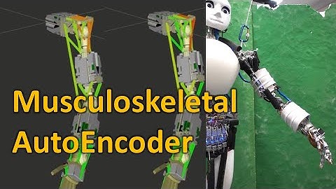 Musculoskeletal AutoEncoder: A Unified Online Acquisition of Intersensory Networks (RA-L 2020)