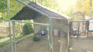 Tour the Chicken Palace- Giantex, Petmate Superior Construction & Producers Pride Chicken Enclosures