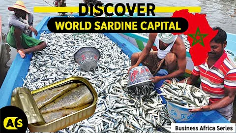 The world’s largest sardine producers - Morocco