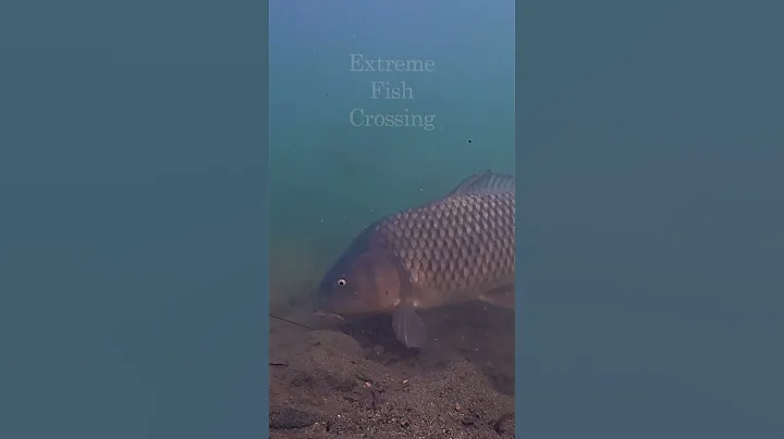 Never Let Your Guard Down…