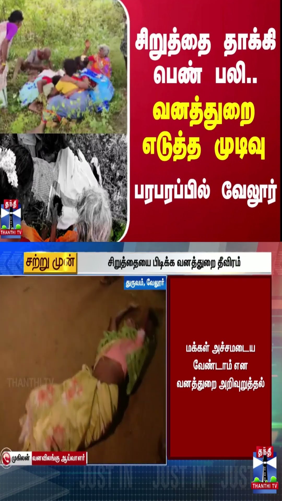 சிறுத்தை தாக்கி பெண் பலி...வனத்துறை எடுத்த முடிவு - பரபரப்பில் வேலூர்