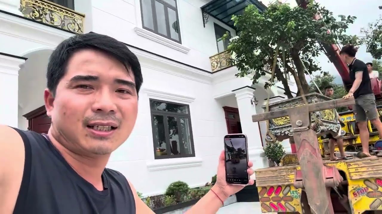 A Páo hạ cây A Duy tặng Tân gia Cây Sắn Thuyền cổ thụ