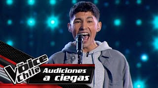 Pablo Rojas  En el silencio negro de la noche | Audiciones a Ciegas | The Voice Chile