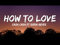 How To Love - Cash Cash ft Sofia Reyes [Lyrics/Vietsub]