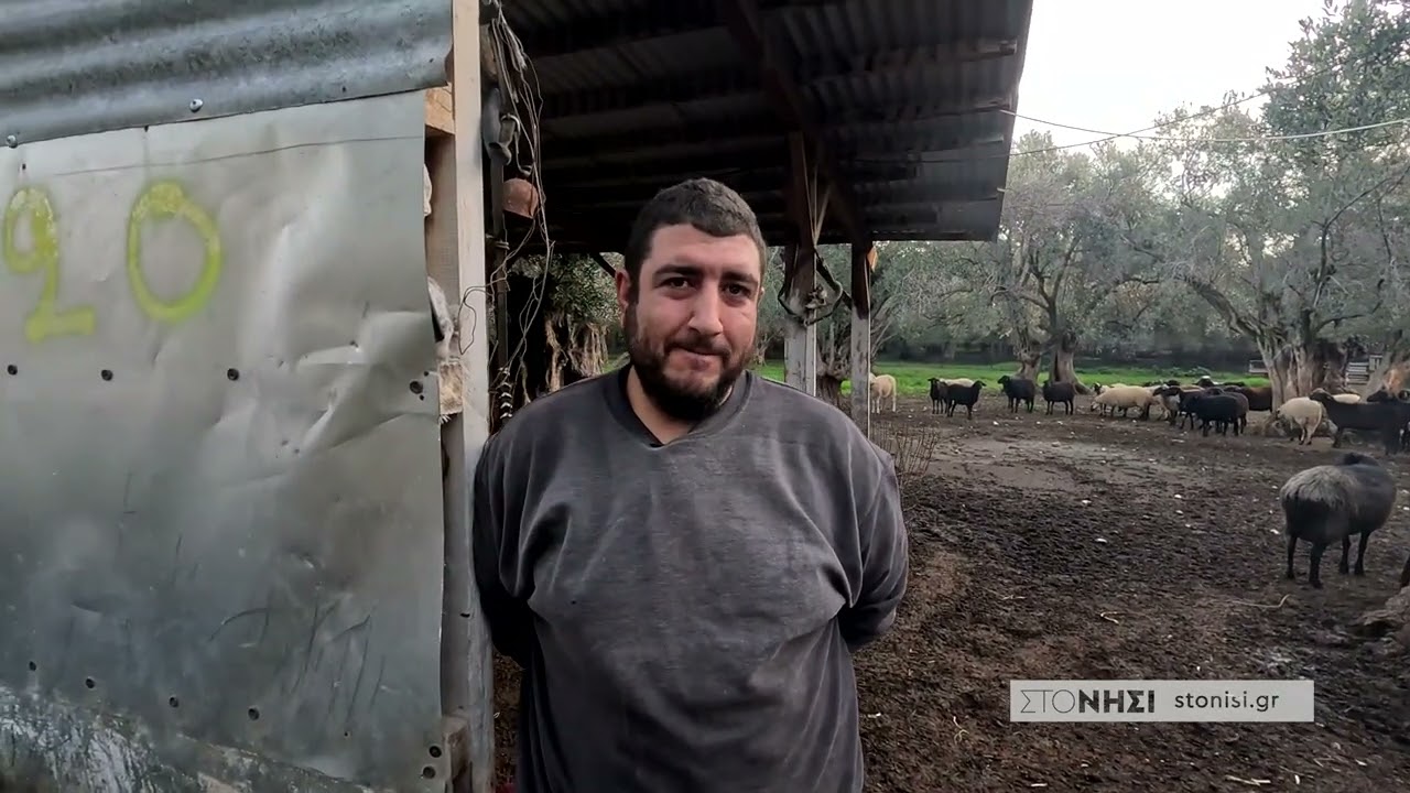 Οι πικρές αλήθειες ενός νέου κτηνοτρόφου