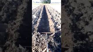 Apertura Scoline Con Aratro Vintage