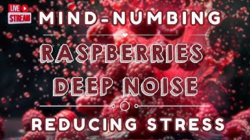 Mind Numbing Raspberry Deep Noise | BLACK SCREEN | Study, Sleep, Tinnitus Relief & Focus