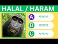 Islamic quiz   haram or halal animals to eat    no music