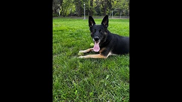 Playing with my dog! 🐶