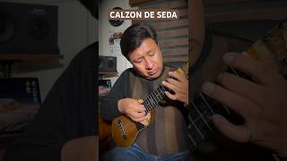 Miniatura del video "Calzon de Seda - Cueca #charangoboliviano #bolivia #charango #willys #shorts #charanguito"