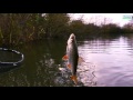 Roach On The Waggler in Winter